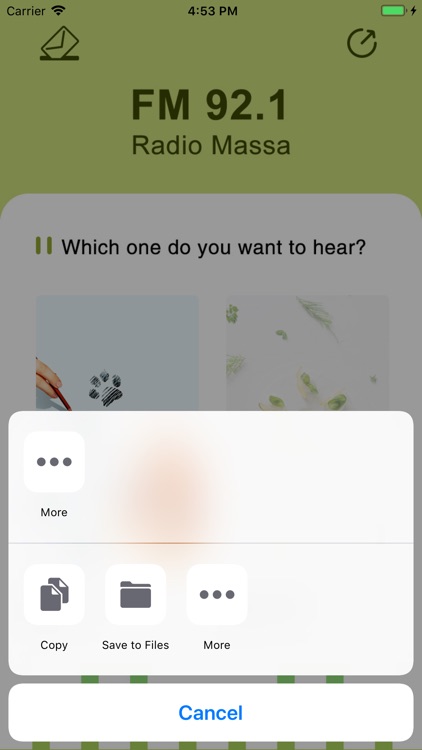 Radio Massa FM92.1 screenshot-4