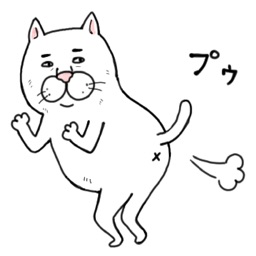 目つきの悪い猫１