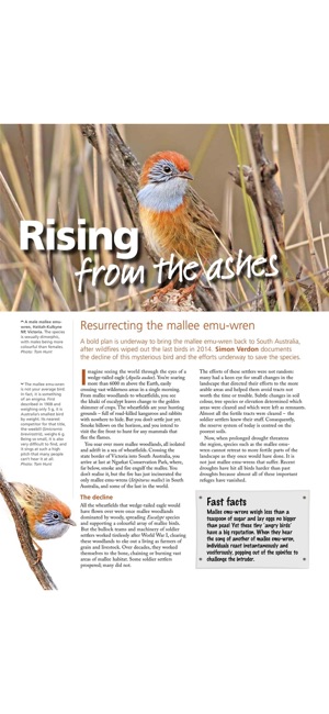 Wildlife Australia Magazine(圖5)-速報App