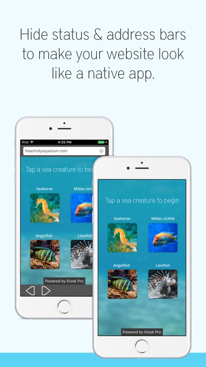 Kiosk Pro Lite screenshot-3