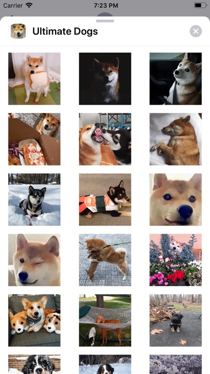 Ultimate Dogs Sticker Pack screenshot-7