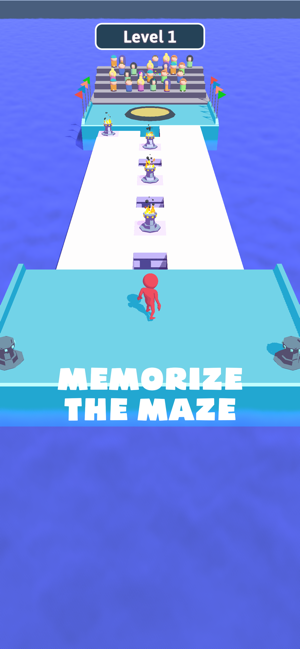 Fun Maze 3D!