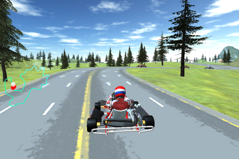 GO KART CHAMPIONSHIP 3D RACING screenshot 2