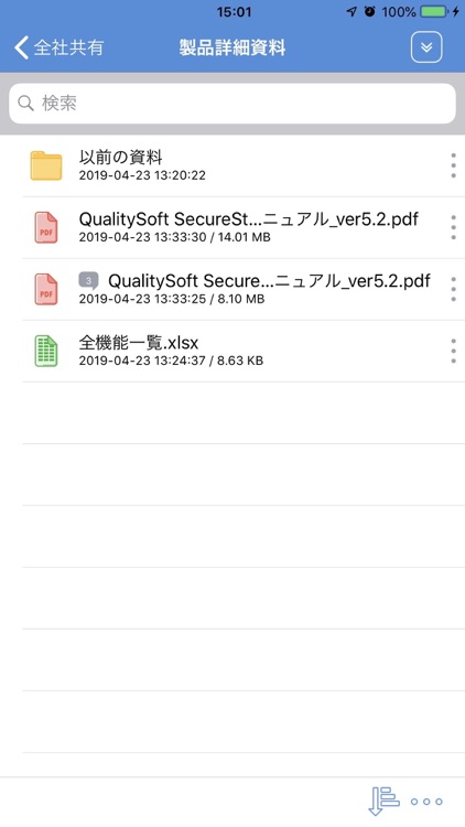 QualitySoft SecureStorage