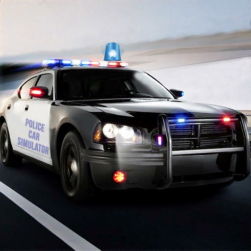 Вождение полицейской машины