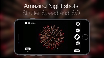 SLR RAW Camera Manual Controls screenshot 2