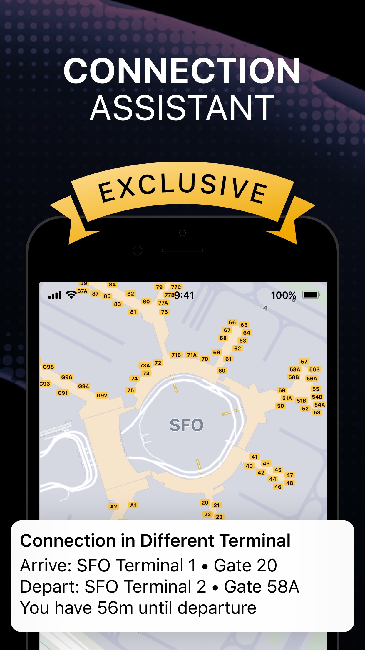 Screenshot do app Flighty - Live Flight Tracker
