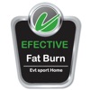 Effective Weight Loss by EVT