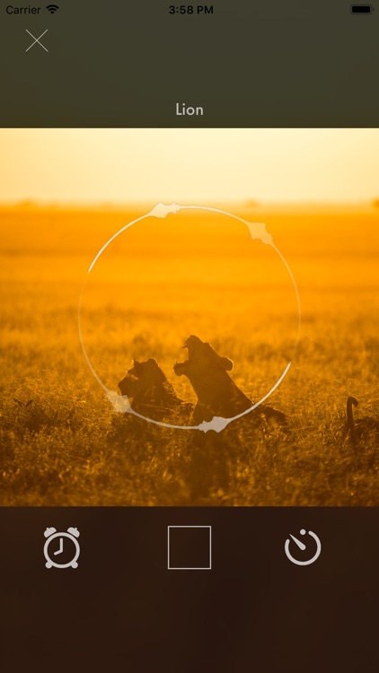 Grumeti Fund screenshot-7