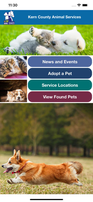 Kern County Animal Services(圖1)-速報App