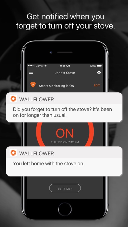 Wallflower - Smart Monitor