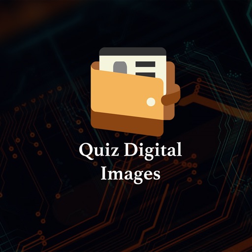 Quiz Digital Images