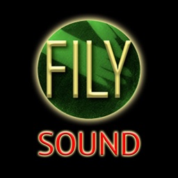 Fily Sound