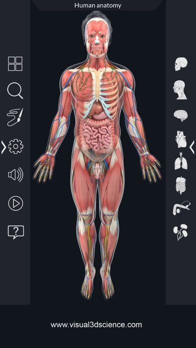 AR Human Anatomy screenshot 3