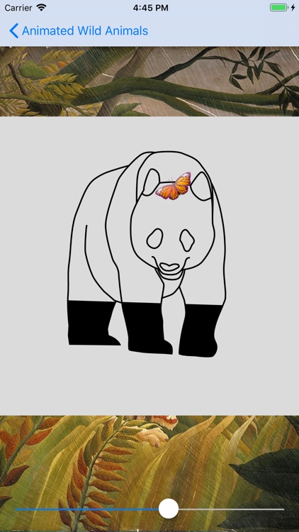 Animated Wild Animals screenshot-5