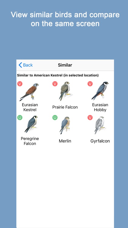 Sibley Birds 2nd Edition screenshot-4