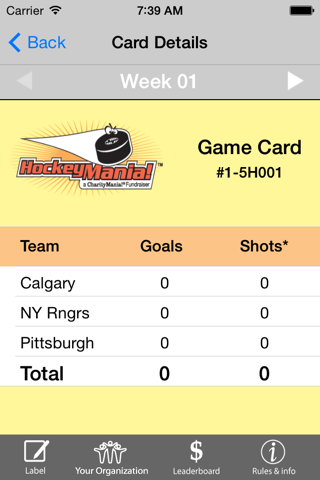 HockeyMania screenshot 3