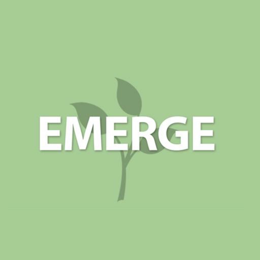 Emerge Workshop