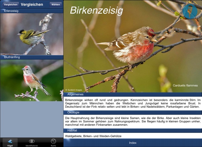 Vogel Id Gartenvogel Bestimmen Im App Store