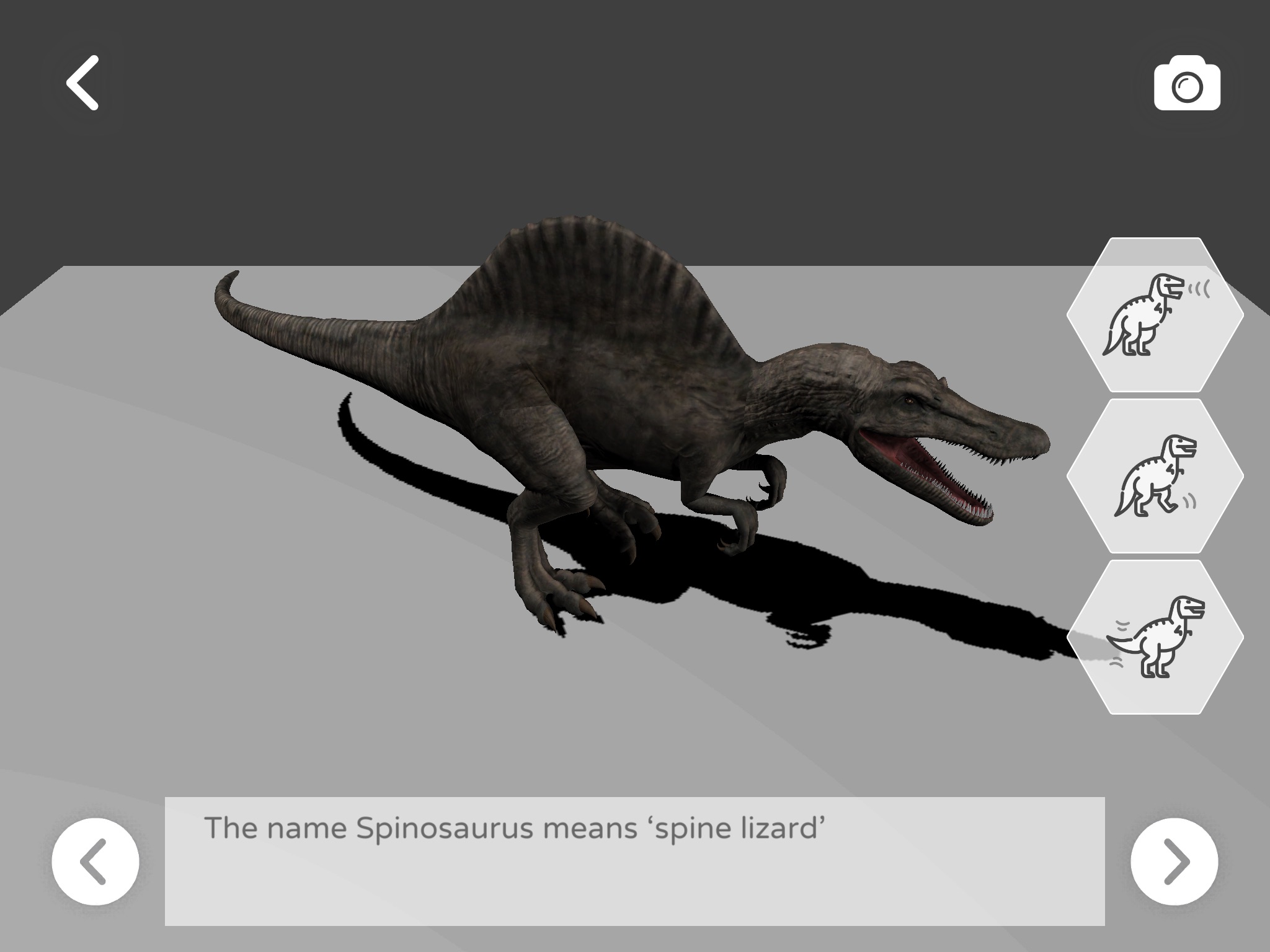 Lifeliko Dino screenshot 2