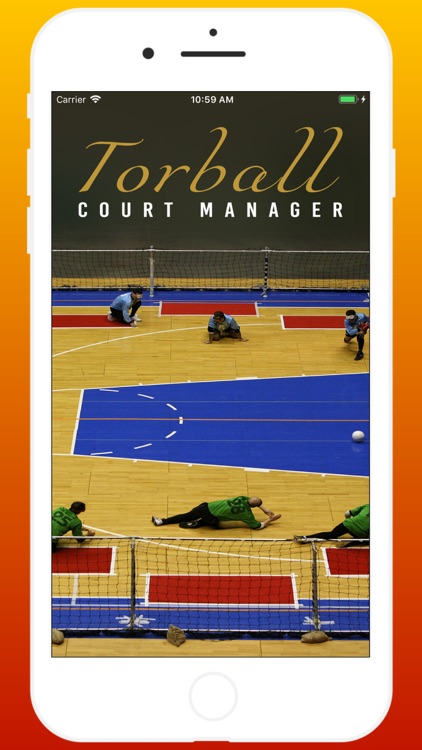 Torball Court Management