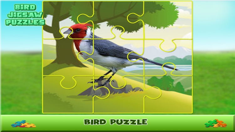 Bird Jigsaw Puzzles screenshot-4