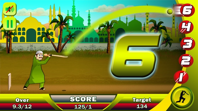 Ramzan Cricket Pro screenshot-3