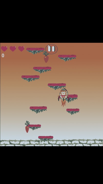 Animal Bouncing screenshot-3