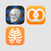 Radiology Anatomy Plus