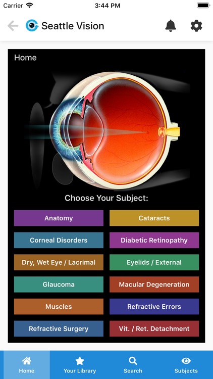 Eye GIFs - Patient Education