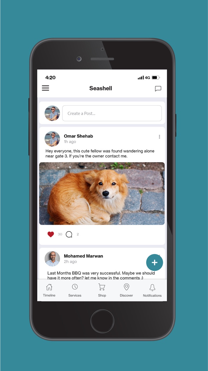 Seashell North Coast