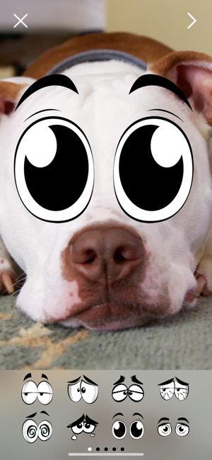 Crazy Eyes Fun Photo Stickers(圖5)-速報App