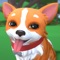 Play with, feed, and dress up your own corgi in augmented reality