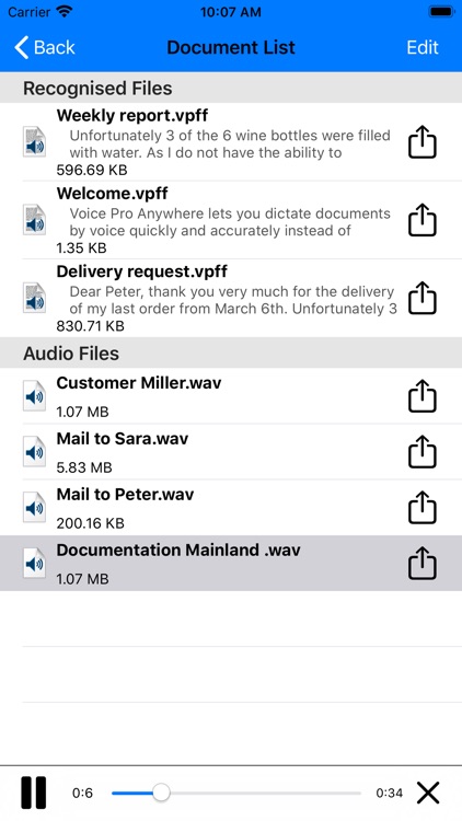 Voice Pro Anywhere screenshot-3