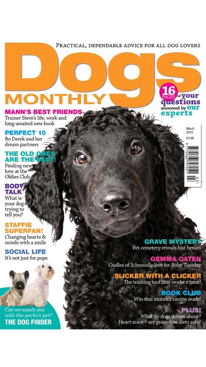 Dogs Monthly Magazine