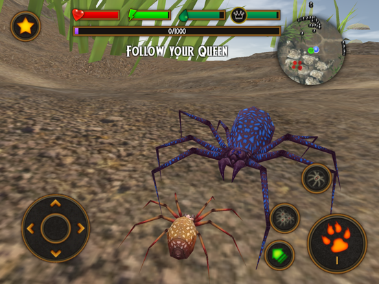 Life Of Spider для iPad