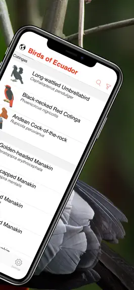 Game screenshot Birds of Ecuador - Field Guide hack