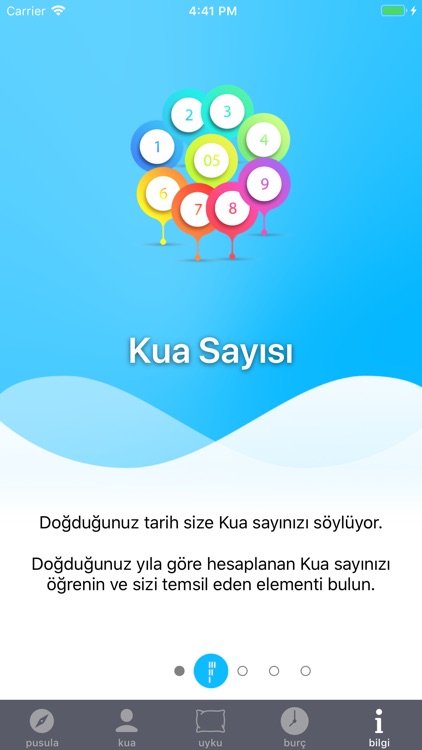 FengShuiWE screenshot-5