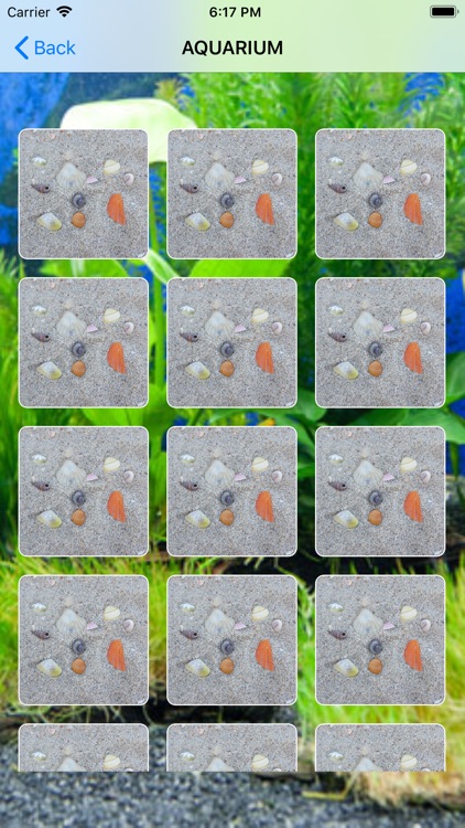 Aquarium Memorize game screenshot-4