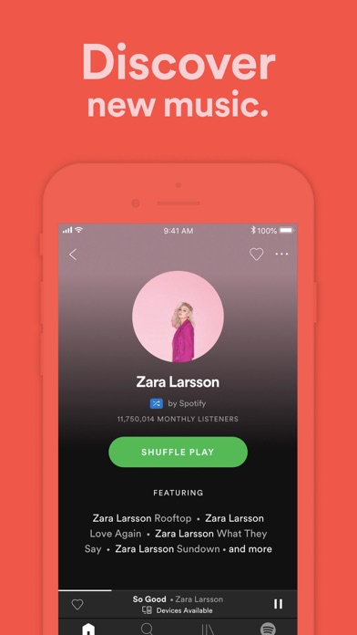 Spotify Screenshot 2