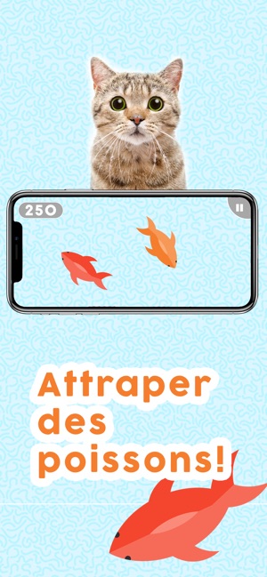 Jeux Pour Les Chats Dans L App Store