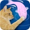 Go-Cat® Cat Fishing is an all-new game designed especially for cats