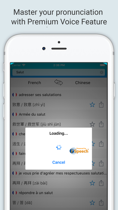 French Chinese Dictionary + screenshot 4