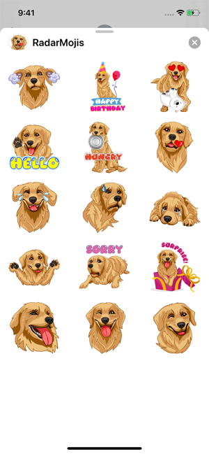 RadarMojis - Golden Retriever(圖3)-速報App