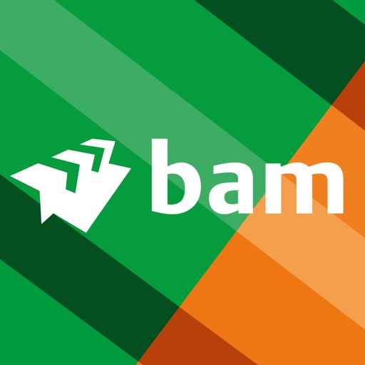 BAM Infra Projecten