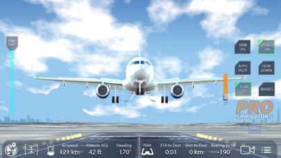 How to cancel & delete Pro Flight Simulator Dubai from iphone & ipad 4