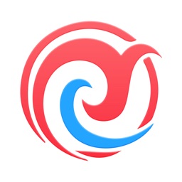 Curtain Cloth:Quantity Prices