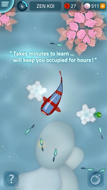 Zen Koi