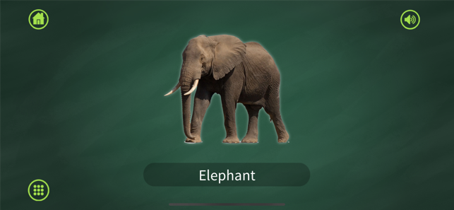 Learn Animals for Toddler(圖5)-速報App