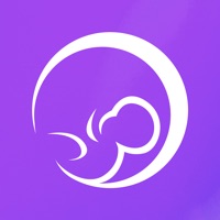  Premom Schwangerschafts App Alternative